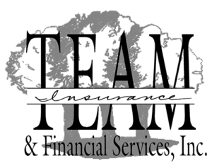 Team Insurance and Financial Services, Inc - Logo 500